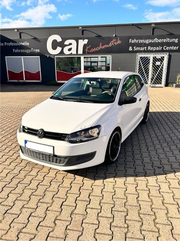Polo