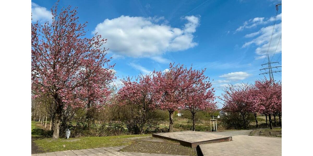 Erdgeschoßwohnung Recklinghausen Grullbad - 6 Zimmer, 155 m&sup2;, 1.599&euro; | Angebot:26127252