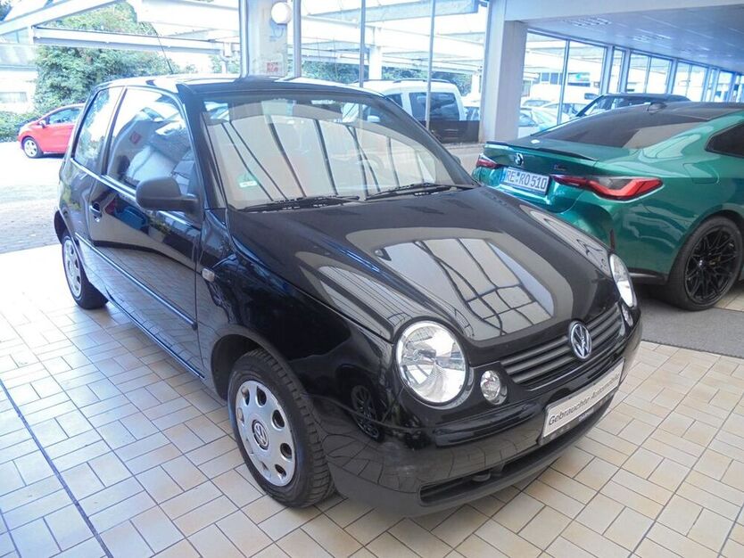 Lupo