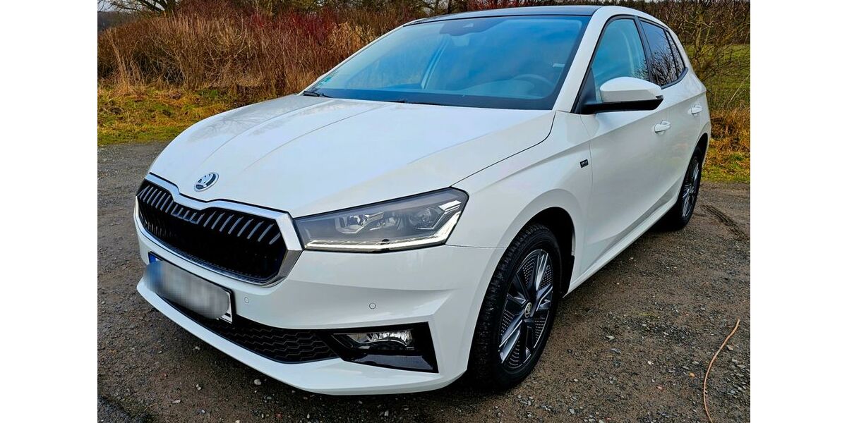 Skoda Fabia 29.500 km 19.999 &euro; Lüdinghausen 59348