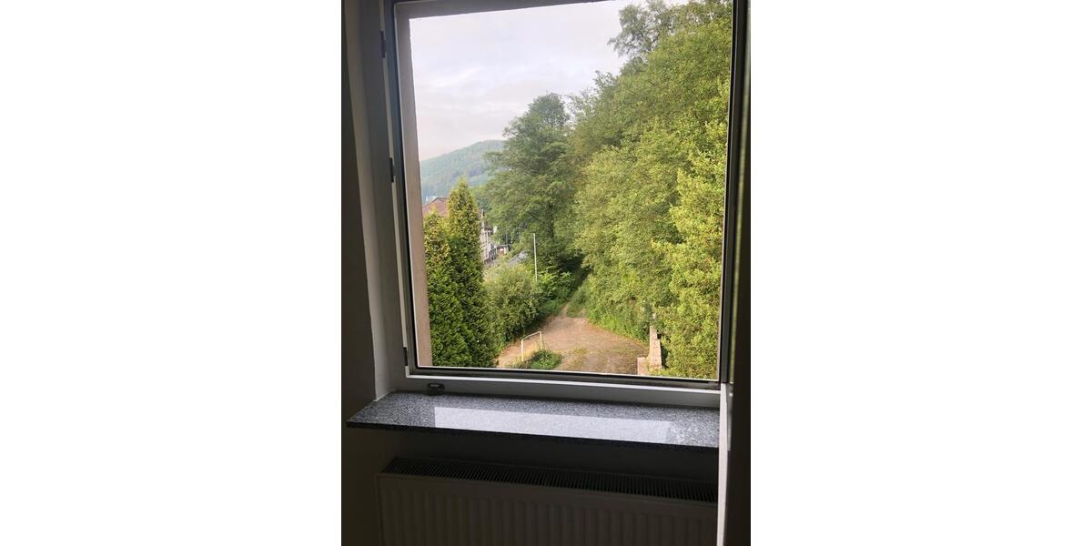 Etagenwohnung Altena - 2 Zimmer, 45 m&sup2;, 36.000&euro; | Angebot:27453072