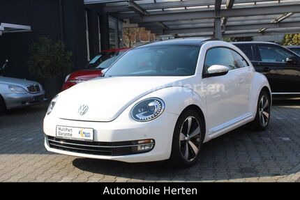 VW Beetle 74.000 km 10.800 &euro; Herten 45699