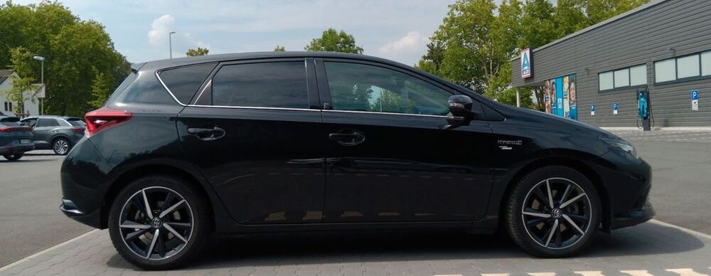 Auris