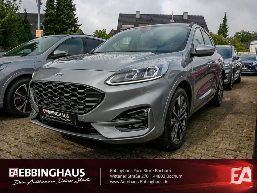Kuga