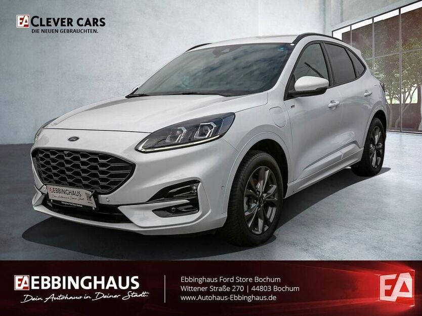 Kuga