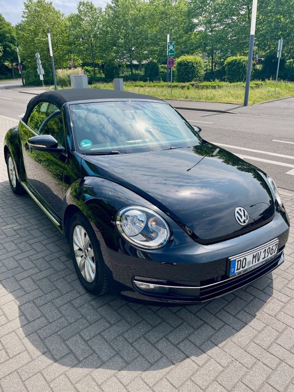 Beetle