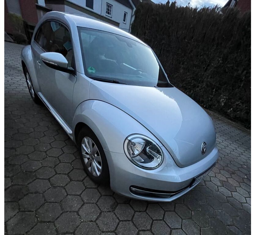 Beetle