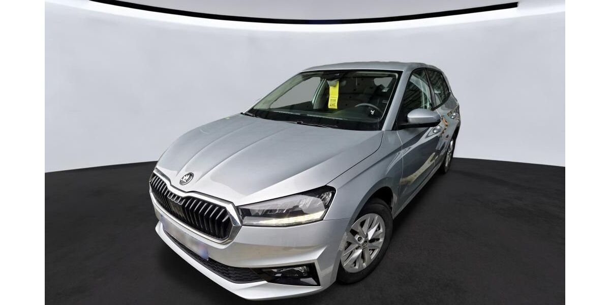 Skoda Fabia 29.142 km 13.935 &euro; Hagen 58091