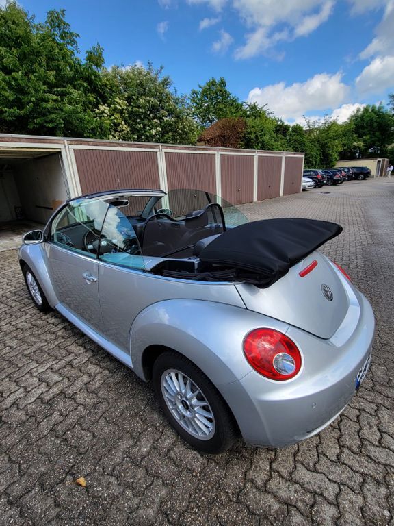 Beetle