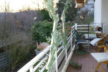 **IHR NEUES ZUHAUSE MIT GROSSEM SÜD-BALKON! Attraktive 3-Zi.-Wohnung am Kuhlerkamp!** 3 zimmer