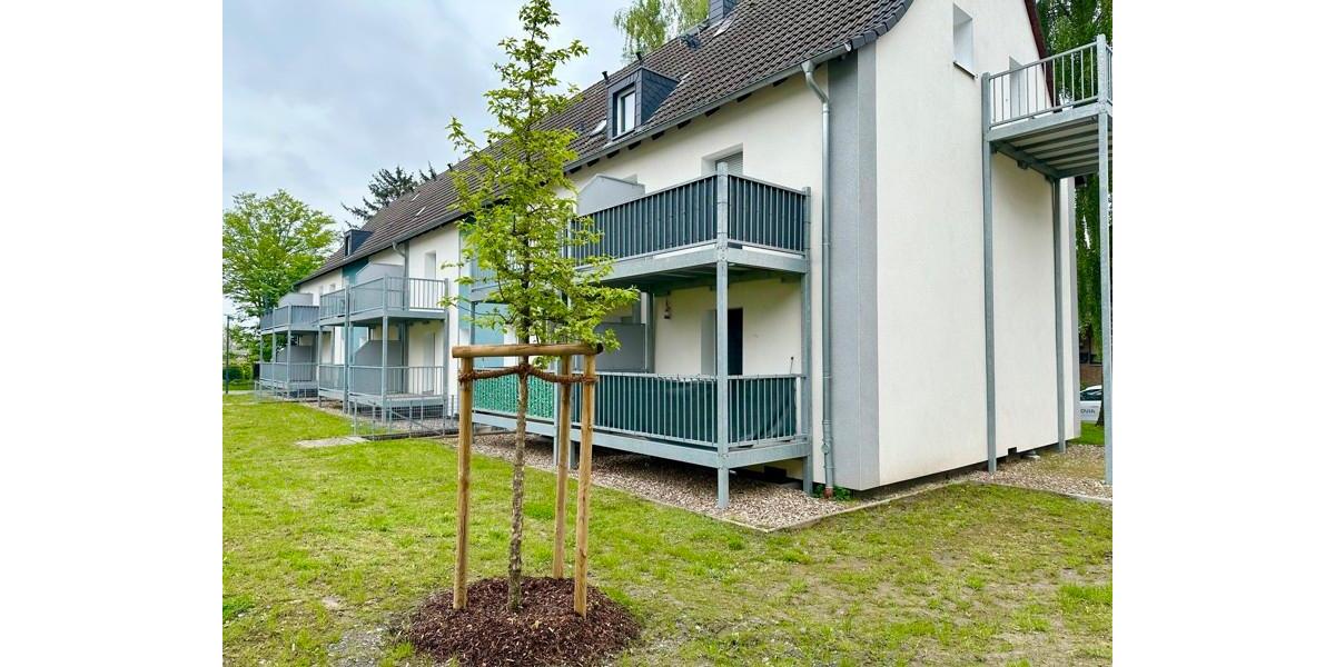 Etagenwohnung Dortmund Hombruch - 2 Zimmer, 45 m&sup2;, 448&euro; | Angebot:26275306