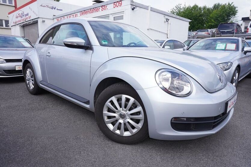 Beetle