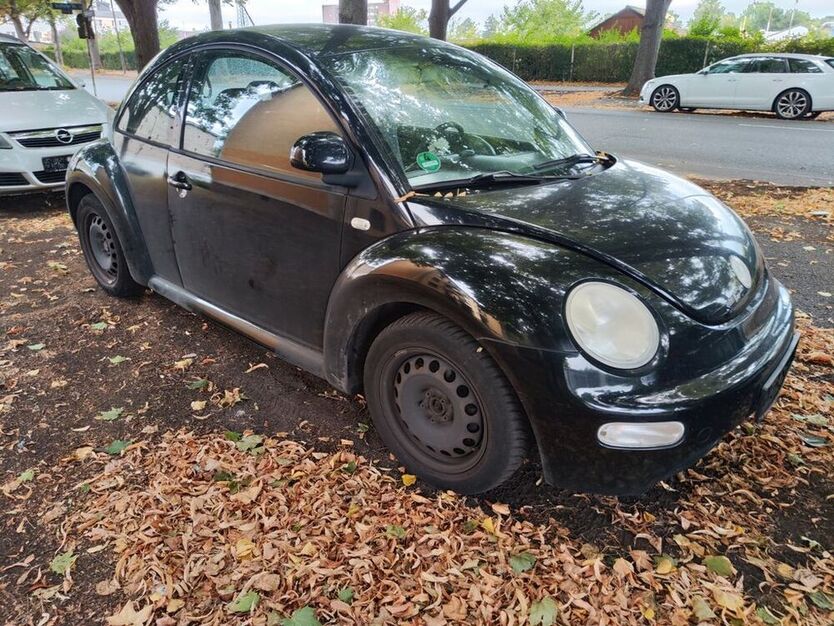 Beetle