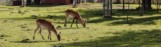 Ketteler Hof im Umland von Dortmund