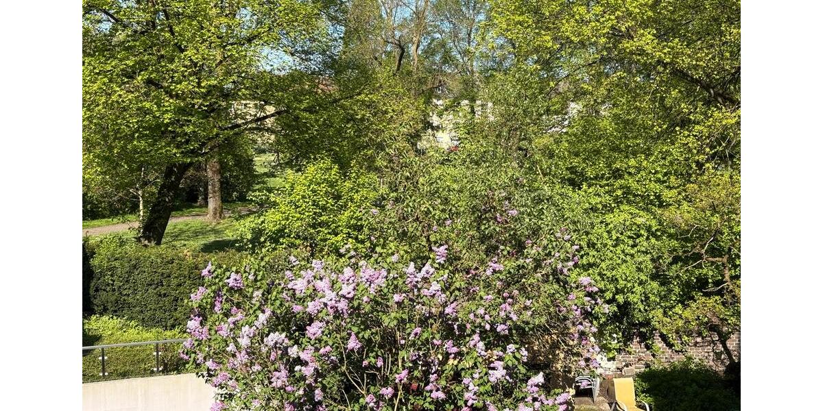 Dachgeschoßwohnung Witten Annen - 2 Zimmer, 54 m&sup2;, 629&euro; | Angebot:24747896