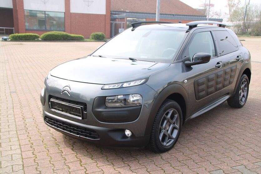 C4 Cactus
