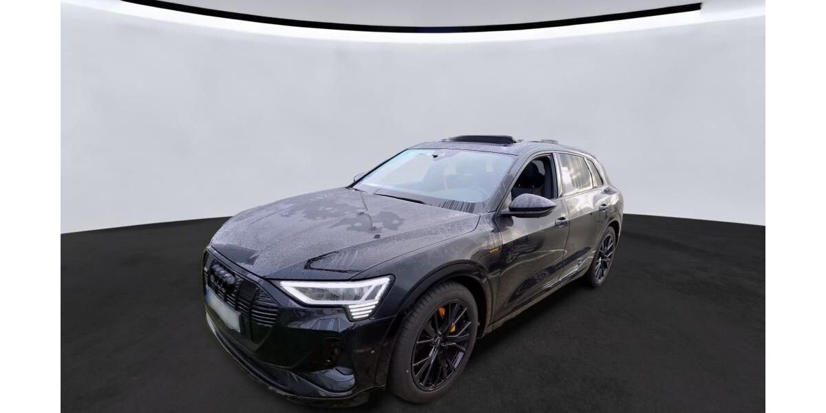 Audi e-tron 48.876 km 34.820 &euro; Hagen 58091
