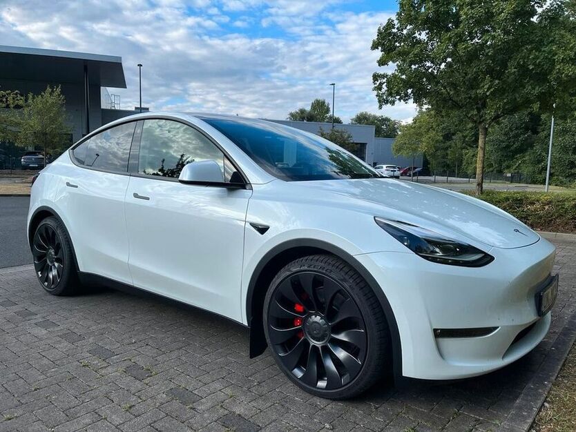 Model Y
