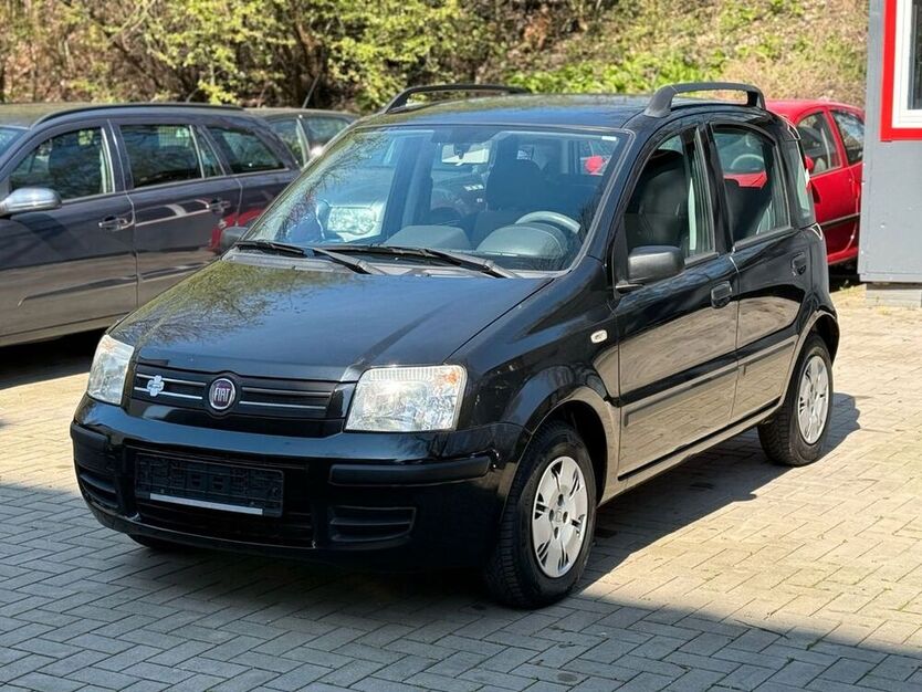 Panda