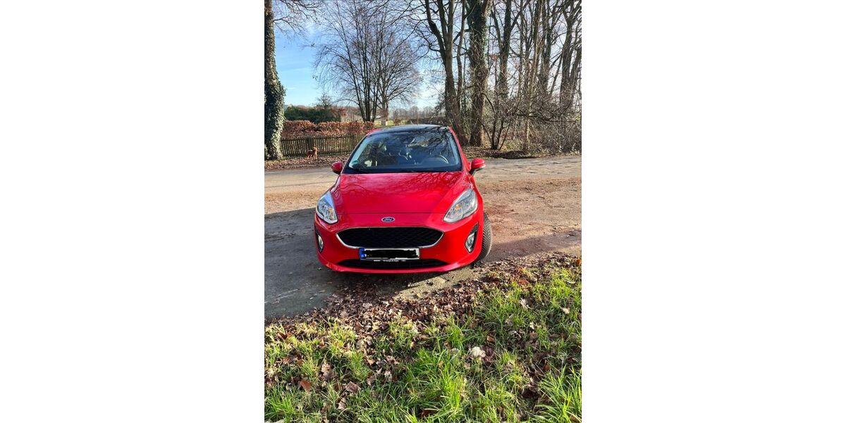 Ford Fiesta 100.100 km 8.000 &euro; Recklinghausen 45657
