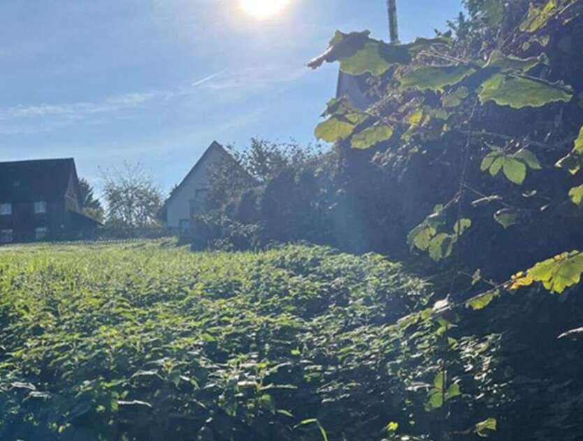 Grundstück zu verkaufen in Dortmund 87.000 € 224 m² zimmer