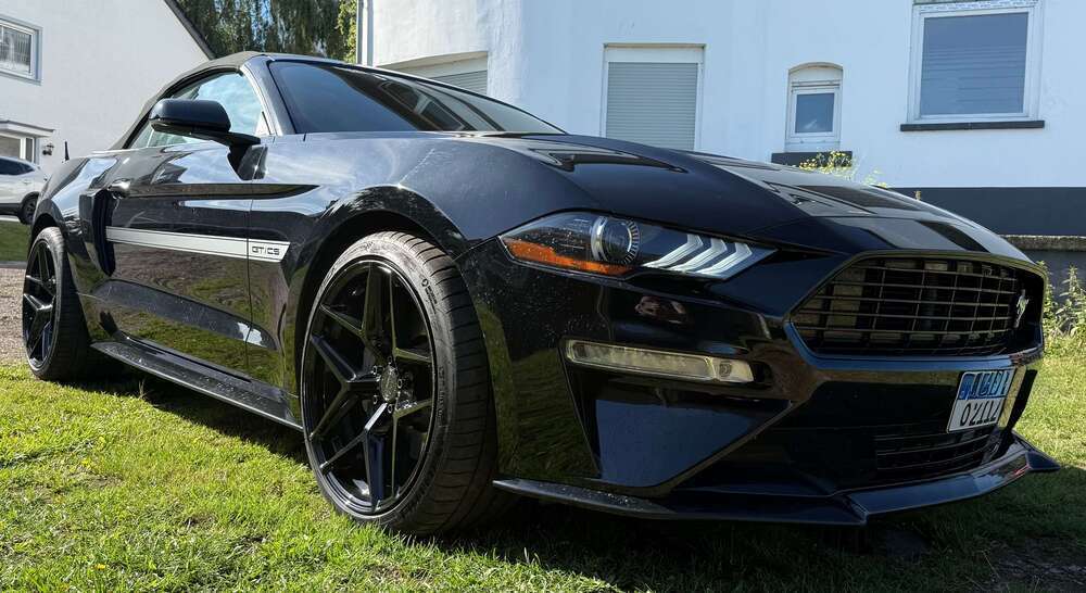 Mustang