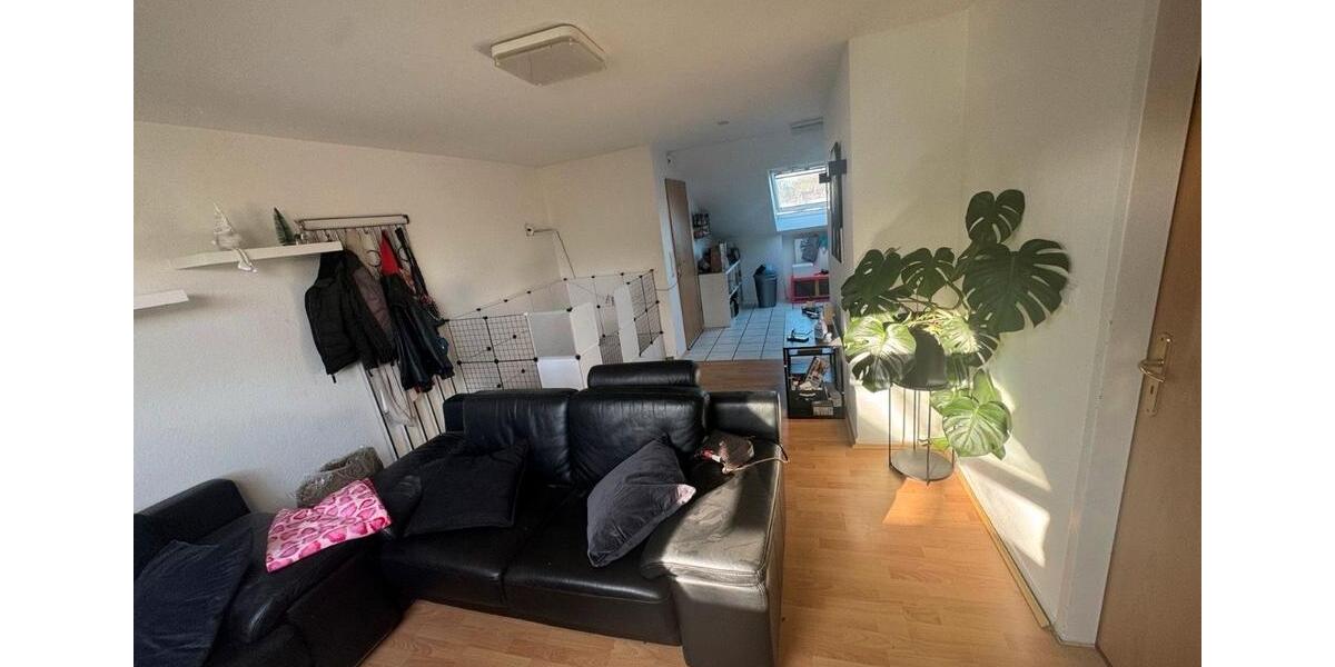 Dachgeschoßwohnung Dortmund Bövinghausen - 2 Zimmer, 50 m&sup2;, 500&euro; | Angebot:25926369