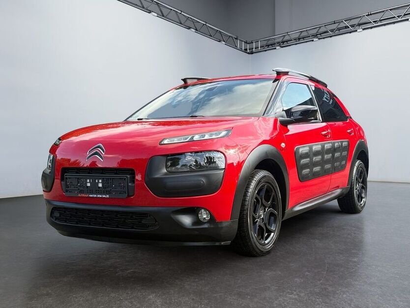 C4 Cactus