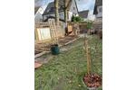 Mehrfamilienhaus mit Garten und 7 Garagen