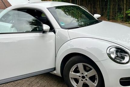 VW Beetle