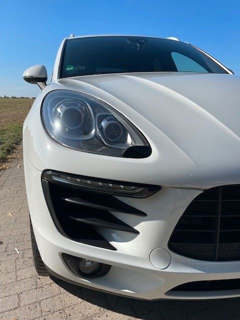 Macan