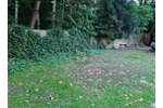 GRÜNES POTENZIAL IN RUHIGER WOHNLAGE - Grundstück Bochum | Angebot:27199200