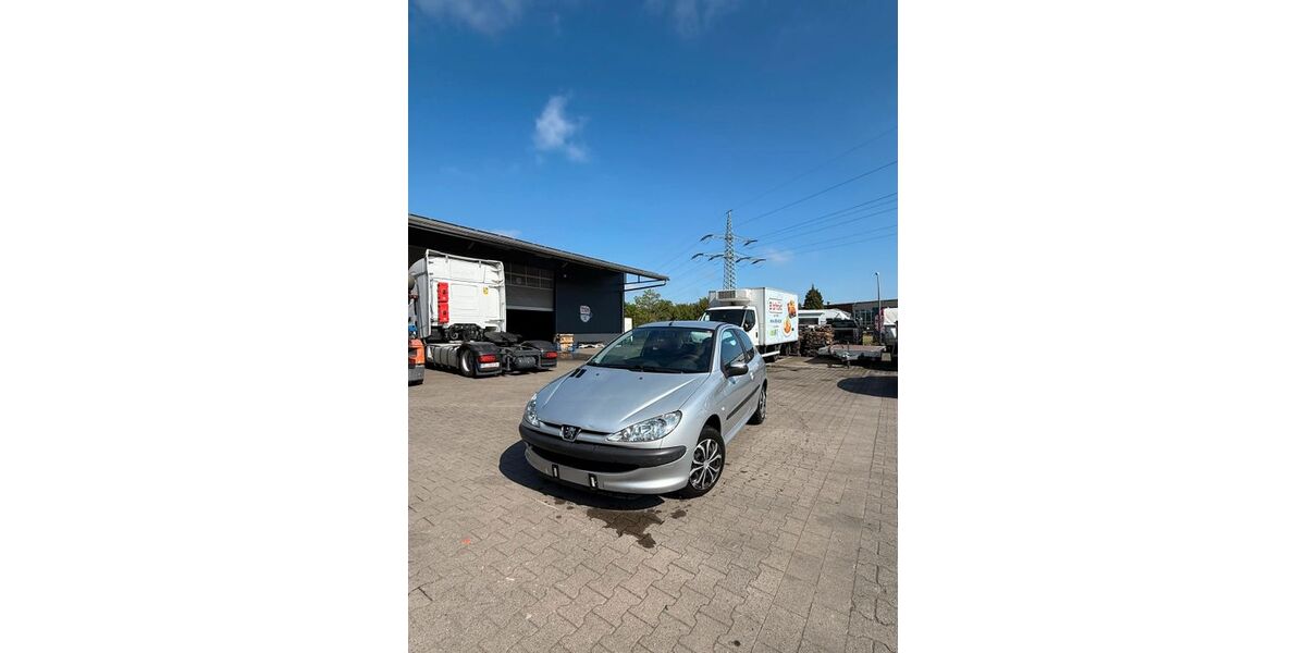 Peugeot 206 151.831 km 1.850 &euro; Marl 45768
