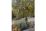 Etagenwohnung Iserlohn Grüne - 3 Zimmer, 86 m&sup2;, 198.000&euro; | Angebot:27101877