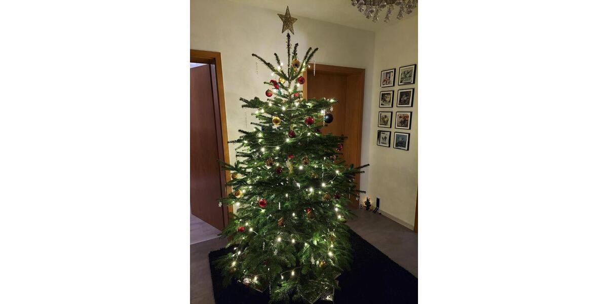 Dachgeschoßwohnung Hattingen Blankenstein - 4 Zimmer, 82 m&sup2;, 590&euro; | Angebot:24391226