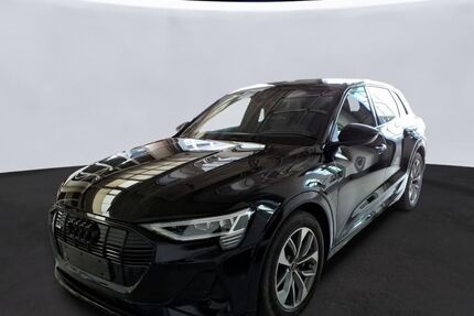 Audi e-tron 76.838 km 33.843 &euro; Hagen 58091