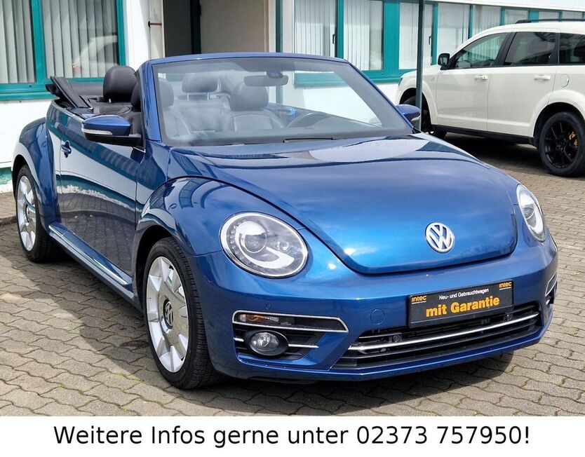 Beetle