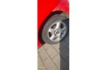 Lupo
