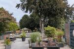 Terrassenwohnung Bochum Bochum-Südwest - 5 Zimmer, 125 m&sup2;, 409.000&euro; | Angebot:27462442