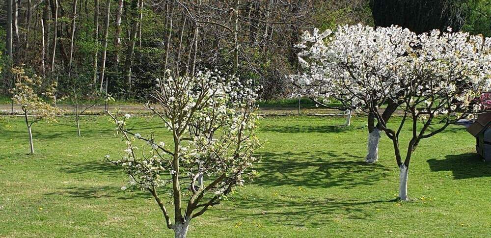 Mehrfamilienhaus, Wohnhaus Hagen Vorhalle - 630.000&euro; | Angebot:24209454