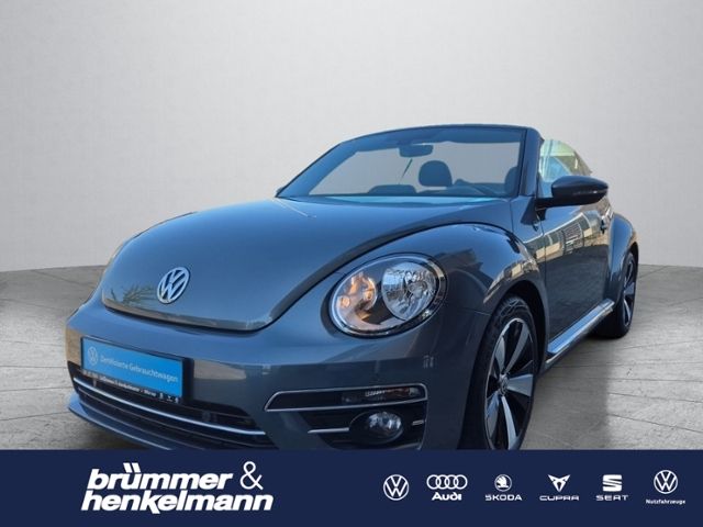 Beetle