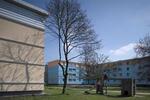 Etagenwohnung Dortmund Scharnhorst - 3 Zimmer, 88 m&sup2;, 708&euro; | Angebot:24680076