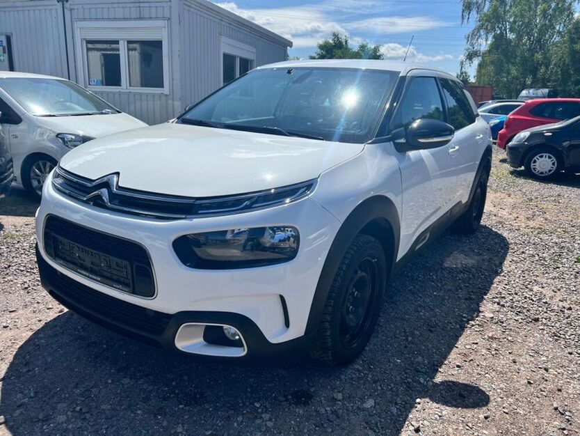 C4 Cactus