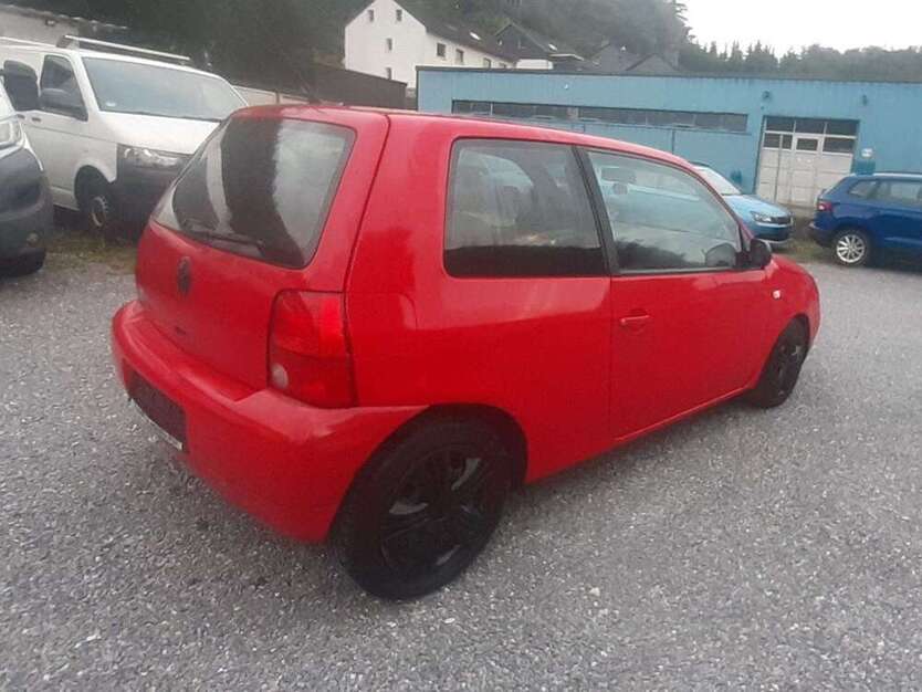 Lupo