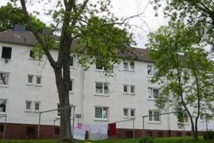 Wohnung Iserlohn Grüne - 1 Zimmer, 31 m&sup2;, 319&euro; | Angebot:24818231