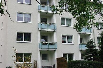 Neu renovierte Wohnung an berufstätigen Single-Haushalt zu vergeben 2 zimmer