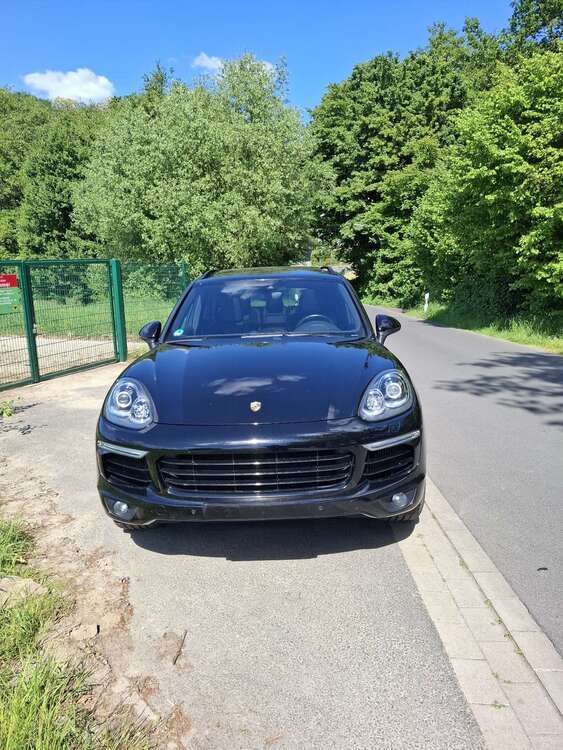 Cayenne
