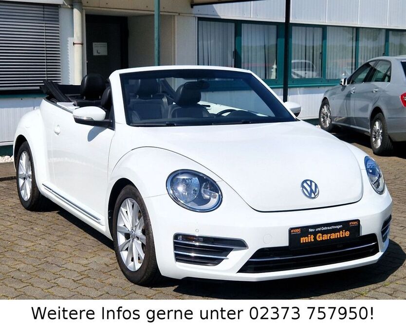 Beetle