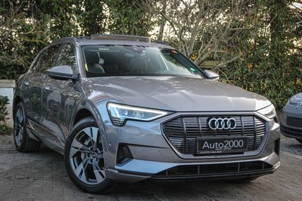 Audi e-tron 185.700 km 19.890 &euro; Unna 59427