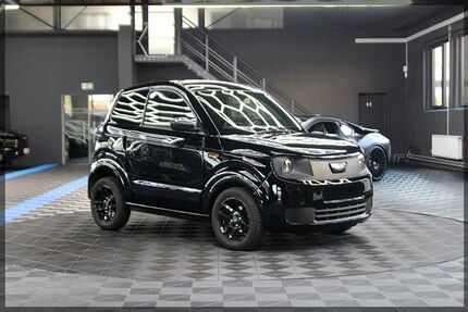 Ligier Myli 6.500 km 12.499 &euro; Hemer 58675